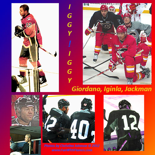 Jarome Iginla Collage of Pictures by Christina Johnson 